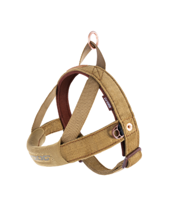 Corduroy - Quick Fit Dog Harness