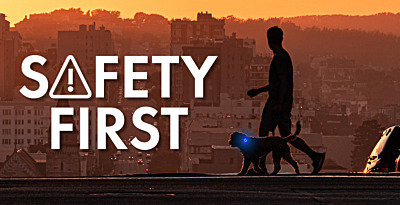 SAFETY FIRST: THE BEST REFLECTIVE DOG LEADS FOR NIGHT WALKS