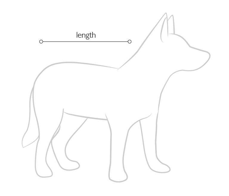 Measuring girth of dog