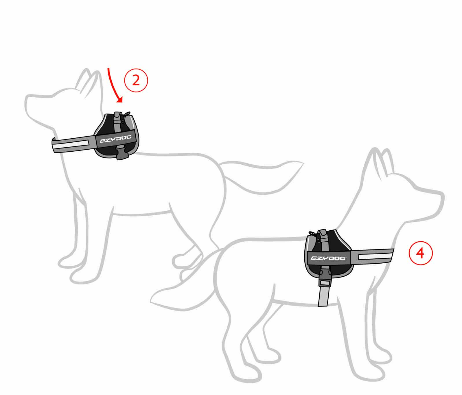 How to fit Convert Harness