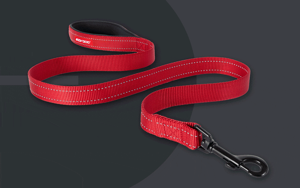 essential dog lead colours